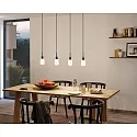 Paulmann Pendelarmatuur URAIL DECOSYSTEMS zonder lampenkap E14, zwart mat, wit dimbaar