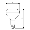 Philips Plantenlamp IR CH R125 E27 dimbaar