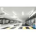 Philips LED buis T8 MASTER LEDTUBE  T8 HO 600MM 7.6W 865 roteerbaar, schakelbaar mat G13 7,6W 1150lm 6500K 160° CRI >80  gesatineerd