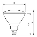 Philips Infraroodstraler PAR38 IR 1CT/12 PAR38 E27 150W dimbaar