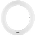 LED buisvorm ESSENCE TUBE RING T9 C22 G10Q EM G10q 12W 4000K 120° CRI 80-89 