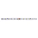 LED stripe VARDAFLEX QUANTUM PLUS - 1CM wit