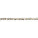 LED stripe VARDAFLEX PLUS PROFI / 2400K CRI98 - 5M