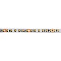 LED stripe VARDAFLEX SUPERIOR PLUS CRI98 - 5M