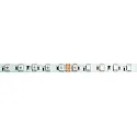 LED stripe VARDAFLEX 3INONE-60 14.4W/M - 5M RGB
