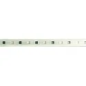 Volledig gesiliconiseerde ledstrip VARDAFLEX OUTDOOR RGB INTELLIGENCE THIRTY - DMX - 2M RGB, DMX bestuurbaar transparant