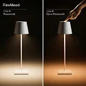 battery table lamp NUINDIE USB-C up / down, with USB connection, CCT Switch, with touch dimmer IP54, glowing orange dimmable