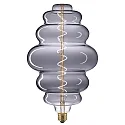 Decoratie lichtbron filament GIANT NEST dimbaar E27 6W 170lm 2200K 360° CRI 90 dimbaar