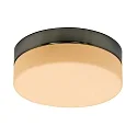 Steinhauer Steinhauer Wall and ceiling luminaire CEILING AND WALL Bathroom luminaire, 1 flame, glass 24 cm, silver