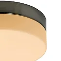 Steinhauer Steinhauer Wall and ceiling luminaire CEILING AND WALL Bathroom luminaire, 1 flame, glass 24 cm, silver