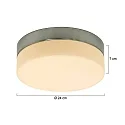 Steinhauer Steinhauer Wall and ceiling luminaire CEILING AND WALL Bathroom luminaire, 1 flame, glass 24 cm, silver