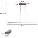 Steinhauer Pendelarmatuur ZELENA / 122CM up down, CCT Switch, instelbaar, met aanraakdimmer IP20, staal geborsteld dimbaar