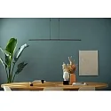 Steinhauer Pendelarmatuur ZELENA / 122CM up down, CCT Switch, instelbaar, met aanraakdimmer IP20, zwart mat dimbaar