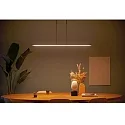 Steinhauer Pendelarmatuur ZELENA / 122CM up down, CCT Switch, instelbaar, met aanraakdimmer IP20, zwart mat dimbaar