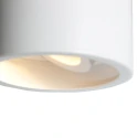 Steinhauer Downlight PÉLITE SPOT cilindrisch, stijf, opbouwversie GU10 IP20, wit dimbaar