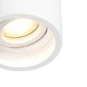 Steinhauer Downlight PÉLITE SPOT cilindrisch, stijf, opbouwversie GU10 IP20, wit dimbaar