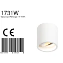Steinhauer Downlight PÉLITE SPOT cilindrisch, stijf, opbouwversie GU10 IP20, wit dimbaar