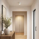 Steinhauer Downlight PÉLITE SPOT cilindrisch, stijf, opbouwversie GU10 IP20, wit dimbaar