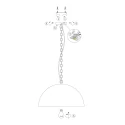 Steinhauer Pendelarmatuur SEMICIRKEL 1-vlams, groot, halfrond E27 IP20, zwart mat dimbaar