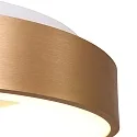 Plafondarmatuur RINGLEDE - Ø 38CM rond, medium, direct / indirect IP20, goud dimbaar