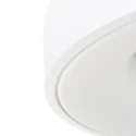 Steinhauer ceiling luminaire RINGLEDE - Ø 48CM large, round, direct / indirect IP20, white matt dimmable