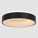 Steinhauer ceiling luminaire RINGLEDE - Ø 48CM large, round, direct / indirect IP20, black matt dimmable