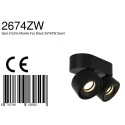 Mexlite Plafondarmatuur FEZ 2-vlams, ovaal, draaibaar, roteerbaar, set terug IP20, zwart mat dimbaar