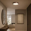 Steinhauer ceiling luminaire RINGLEDE 1 flame IP20, bronze dimmable