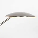 Staande lamp DAPHNE 1-vlams IP20, staal dimbaar