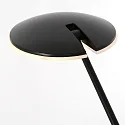 Steinhauer floor lamp DAPHNE 1 flame IP20, black dimmable