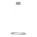 Steinhauer Pendelarmatuur RINGLUX IP20, zilver dimbaar