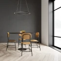 Pendelarmatuur RINGLUX LED IP20, goud dimbaar