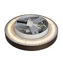 Steinhauer Plafondarmatuur FLADY IP20, dimbaar