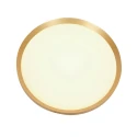 Steinhauer Plafondarmatuur FLADY up down IP20, goud dimbaar