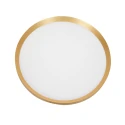 Steinhauer Plafondarmatuur FLADY up down IP20, goud dimbaar