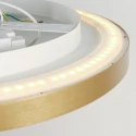 Steinhauer Plafondarmatuur FLADY up down IP20, goud dimbaar