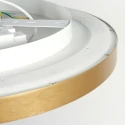 Steinhauer Plafondarmatuur FLADY up down IP20, goud dimbaar