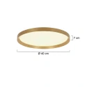 Steinhauer Plafondarmatuur FLADY up down IP20, goud dimbaar
