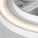 Steinhauer ceiling luminaire FLADY 2 flames IP20, white dimmable