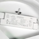 Steinhauer ceiling luminaire FLADY 2 flames IP20, steel dimmable
