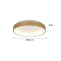 Steinhauer Plafondarmatuur RINGLEDE IP20, goud dimbaar