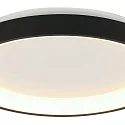 Steinhauer ceiling luminaire RINGLEDE IP20, black dimmable