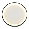 Steinhauer ceiling luminaire RINGLEDE IP20, black dimmable