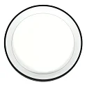 Steinhauer ceiling luminaire RINGLEDE IP20, black dimmable