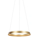 Steinhauer Pendelarmatuur RINGLUX IP20, goud dimbaar
