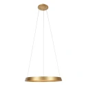 Steinhauer Pendelarmatuur RINGLUX IP20, goud dimbaar