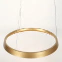 Steinhauer Pendelarmatuur RINGLUX IP20, goud dimbaar