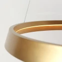 Steinhauer Pendelarmatuur RINGLUX IP20, goud dimbaar