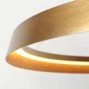 Steinhauer Pendelarmatuur RINGLUX IP20, goud dimbaar