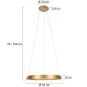 Steinhauer Pendelarmatuur RINGLUX IP20, goud dimbaar